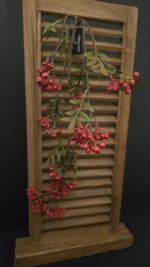 Pyracantha L rood