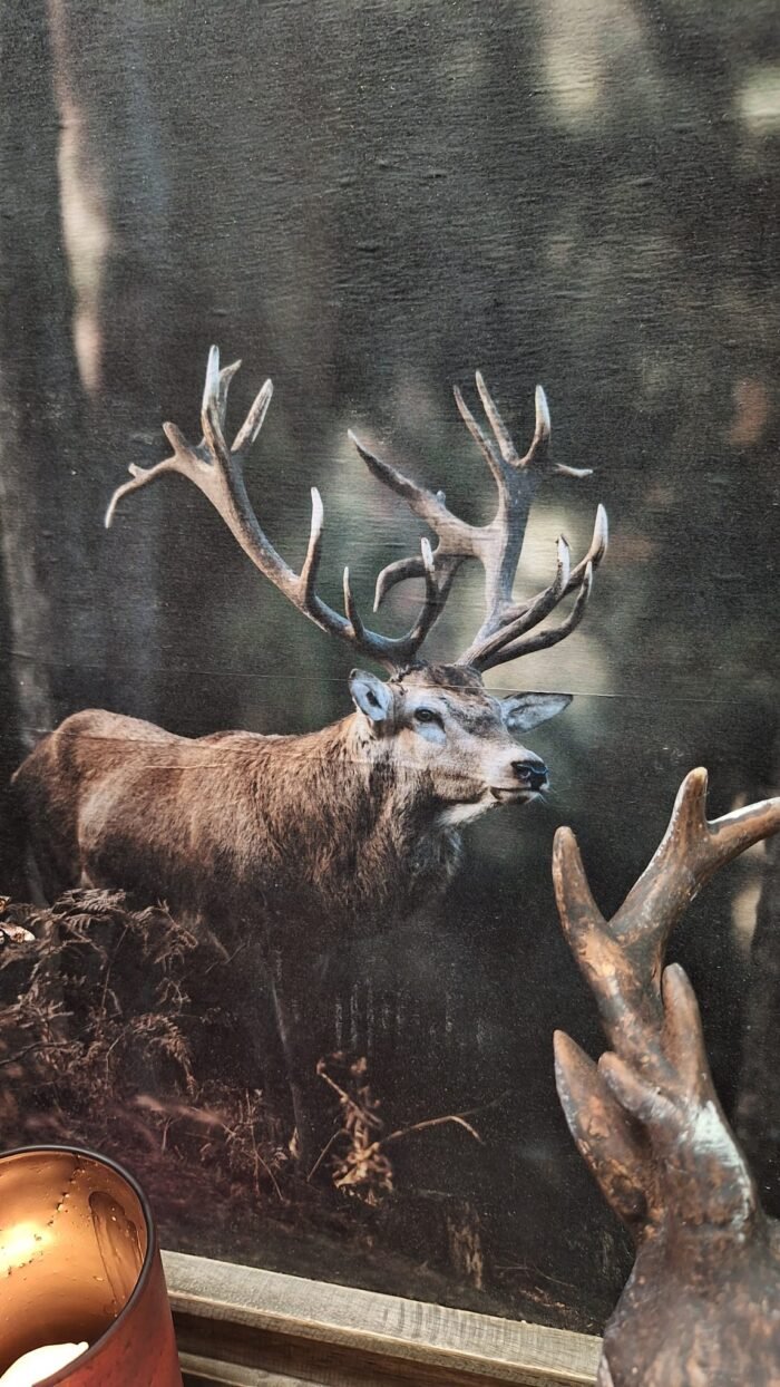 Sfeervolle wanddecoratie met eland voor herfst of winter