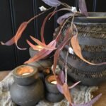Eucalyptus rood S