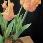 Papegaai kunsttulp zalm 40cm