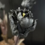 Papegaai kunsttulp zwart 40cm donker blad