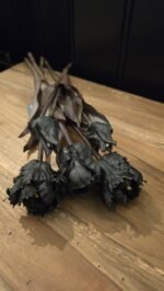 Papegaai kunsttulp zwart 40cm donker blad - Afbeelding 2