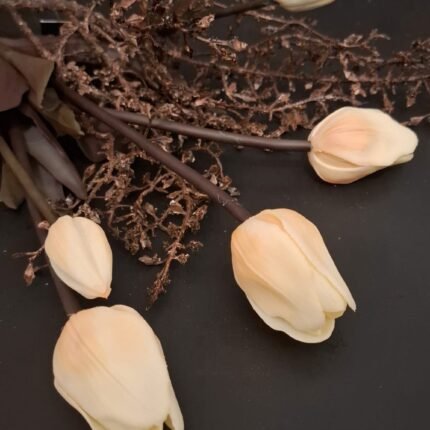 Enkele tulp room met zalm donker blad