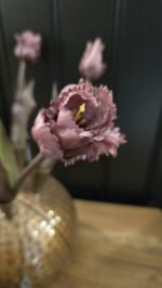 Papegaai kunsttulp paars 40cm donker blad - Afbeelding 2