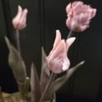 Papegaai kunsttulp oud roze 40cm donker blad