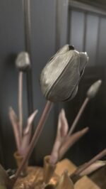 Enkele tulp zwart donker blad