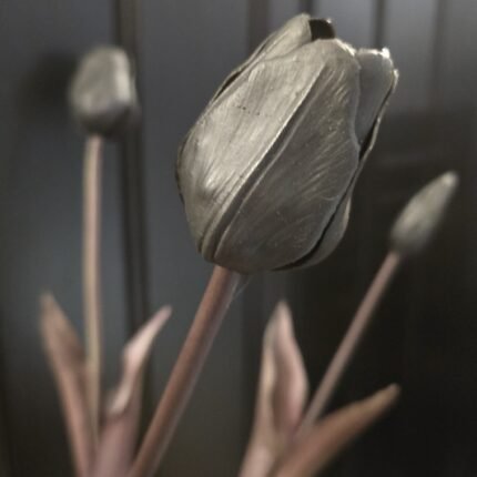 Enkele tulp zwart donker blad