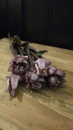 Papegaai kunsttulp purple 40cm - Afbeelding 2