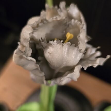 Papegaai kunsttulp grijs 40cm