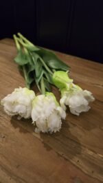 Papegaai kunsttulp wit 40cm - Afbeelding 2