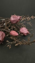 Enkele tulp donker paars donker blad - Afbeelding 2