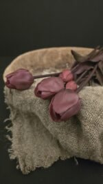 Enkele tulp donker paars donker blad - Afbeelding 3