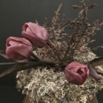 Enkele tulp paars donker blad