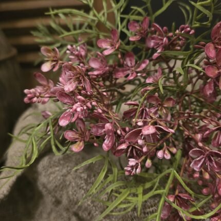Kunst Brassica roze