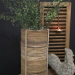 Groene kunst dwergmispel