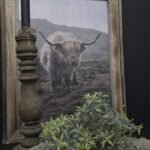 Schilderij lichte Schotse Hooglander met houten frame
