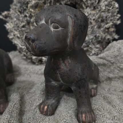 Hond zittend bruin