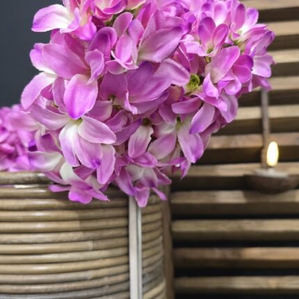 Kunst bos Hyacint fuchsia