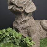 Liggende golden retriever