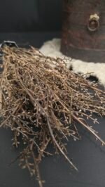 Bundel Berkentakjes - Afbeelding 3