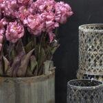 Papegaai kunsttulp paars 40cm donker blad