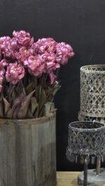 Papegaai kunsttulp paars 40cm donker blad