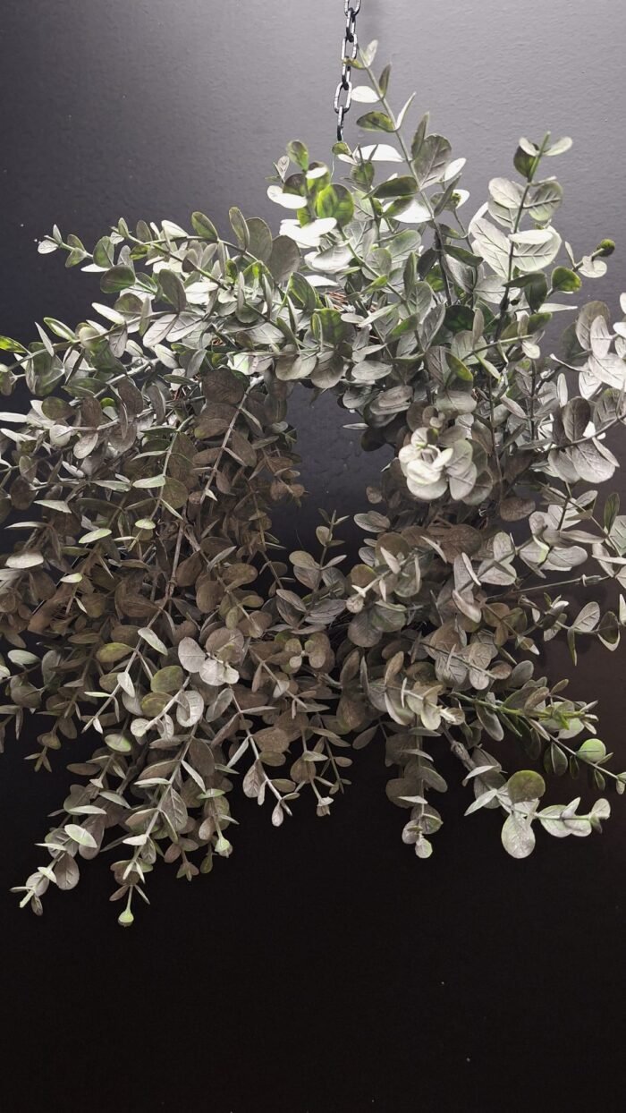 Krans met kunst eucalyptusbladeren
