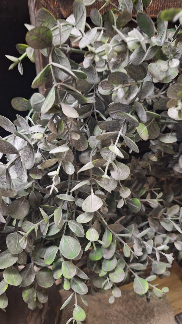 Realistische kunst eucalyptus krans in sobere decoratie