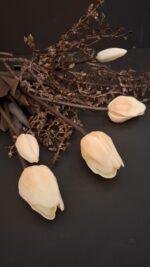 Enkele tulp room met zalm donker blad foto 2