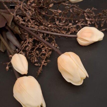 Enkele tulp room met zalm donker blad foto 2
