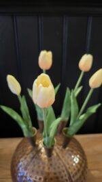 Enkele tulp zalm met ivoor groen blad