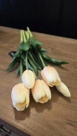 Enkele tulp zalm met ivoor groen blad