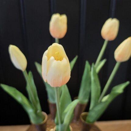 Enkele tulp zalm met ivoor groen blad