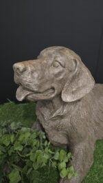 Liggende golden retriever foto 2