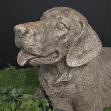 Liggende golden retriever foto 2