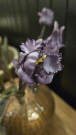 Papegaai kunsttulp dark purple 40cm donker blad