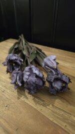 Papegaai kunsttulp dark purple 40cm donker blad