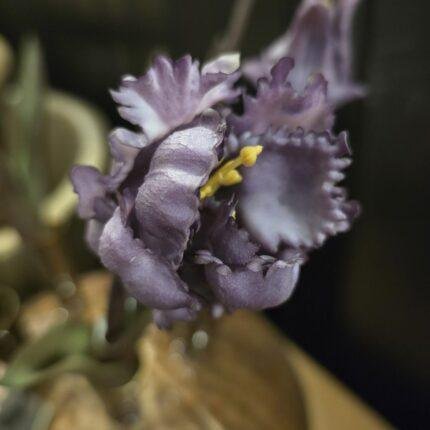 Papegaai kunsttulp dark purple 40cm donker blad