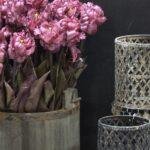Papegaai kunsttulp paars 40cm donker blad