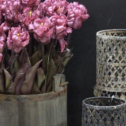 Papegaai kunsttulp paars 40cm donker blad