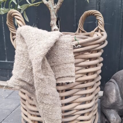 Stoere rotan mand met landelijke uitstraling en gevlochten handgrepen