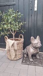 Landelijke pitriet korf met handvatten, vooraanzicht met grof linnen en olijfboom