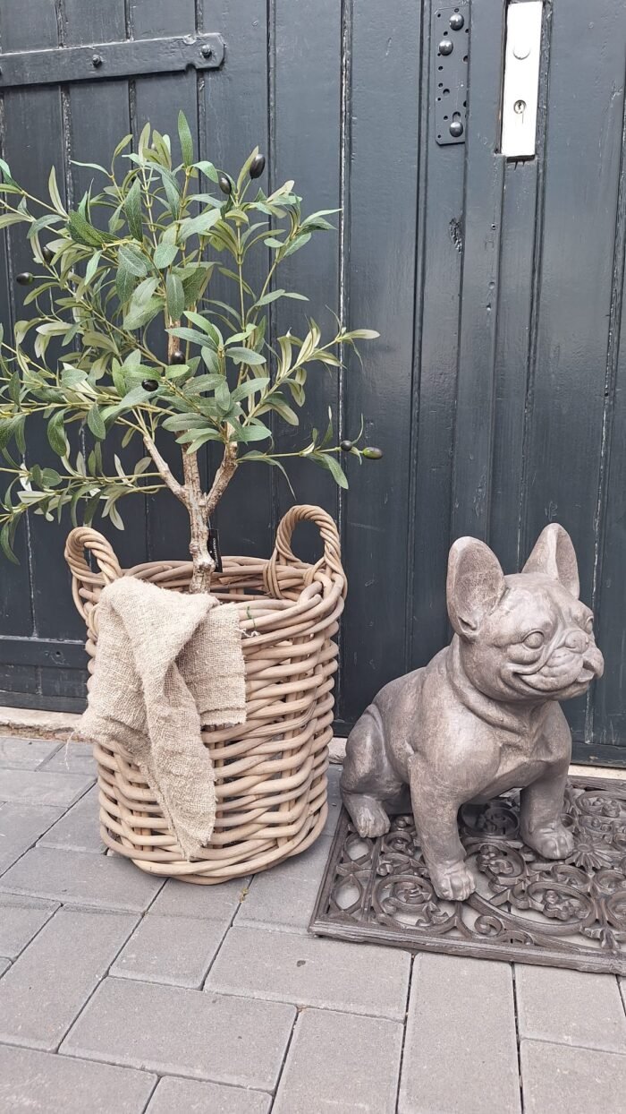 Landelijke pitriet korf met handvatten, vooraanzicht met grof linnen en olijfboom