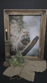 Schilderij eekhoorn met houten frame M