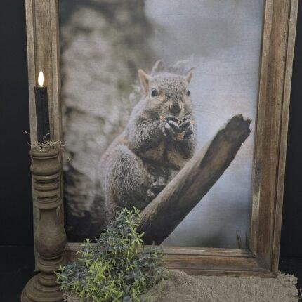 Schilderij eekhoorn met houten frame M