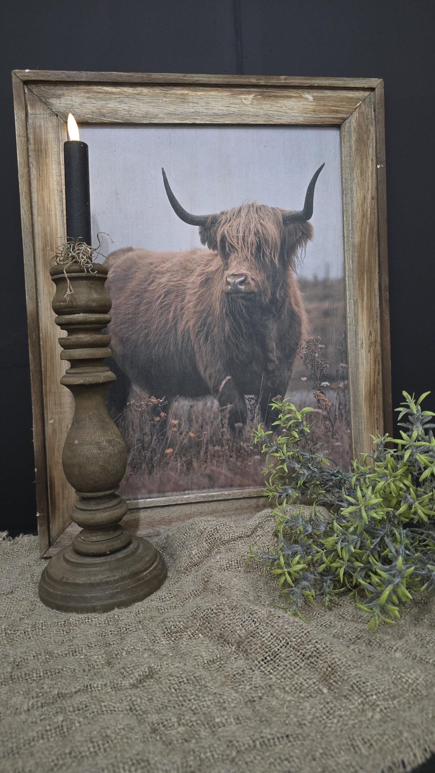 schilderij-schotse-hooglander-met-houten-frame 1 Schilderij Schotse Hooglander met houten frame - Afbeelding 1