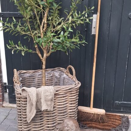 Robuuste opbergmand vierkant van riet voor binnengebruik