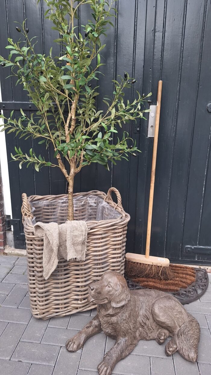 Robuuste opbergmand vierkant van riet voor binnengebruik
