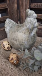 Kip grijs M - Afbeelding 2