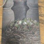 Deco bordje nest ei